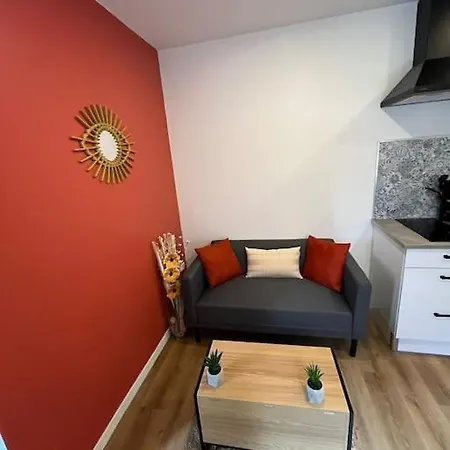 Апартаменты T1 Bis Chaleureux, En Plein Centre-ville De