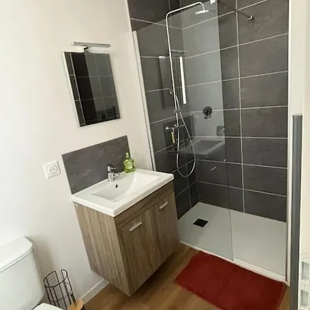 Апартаменты T1 Bis Chaleureux, En Plein Centre-ville De
